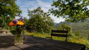 Le Spine Bed Breakfast Terrazza