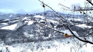 Le Spine Bed Breakfast Inverno