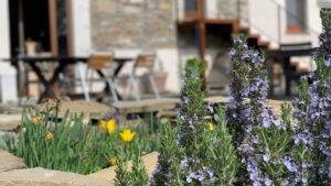 Le Spine Bed Breakfast Berceto