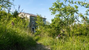 Le Spine Bed Breakfast Berceto